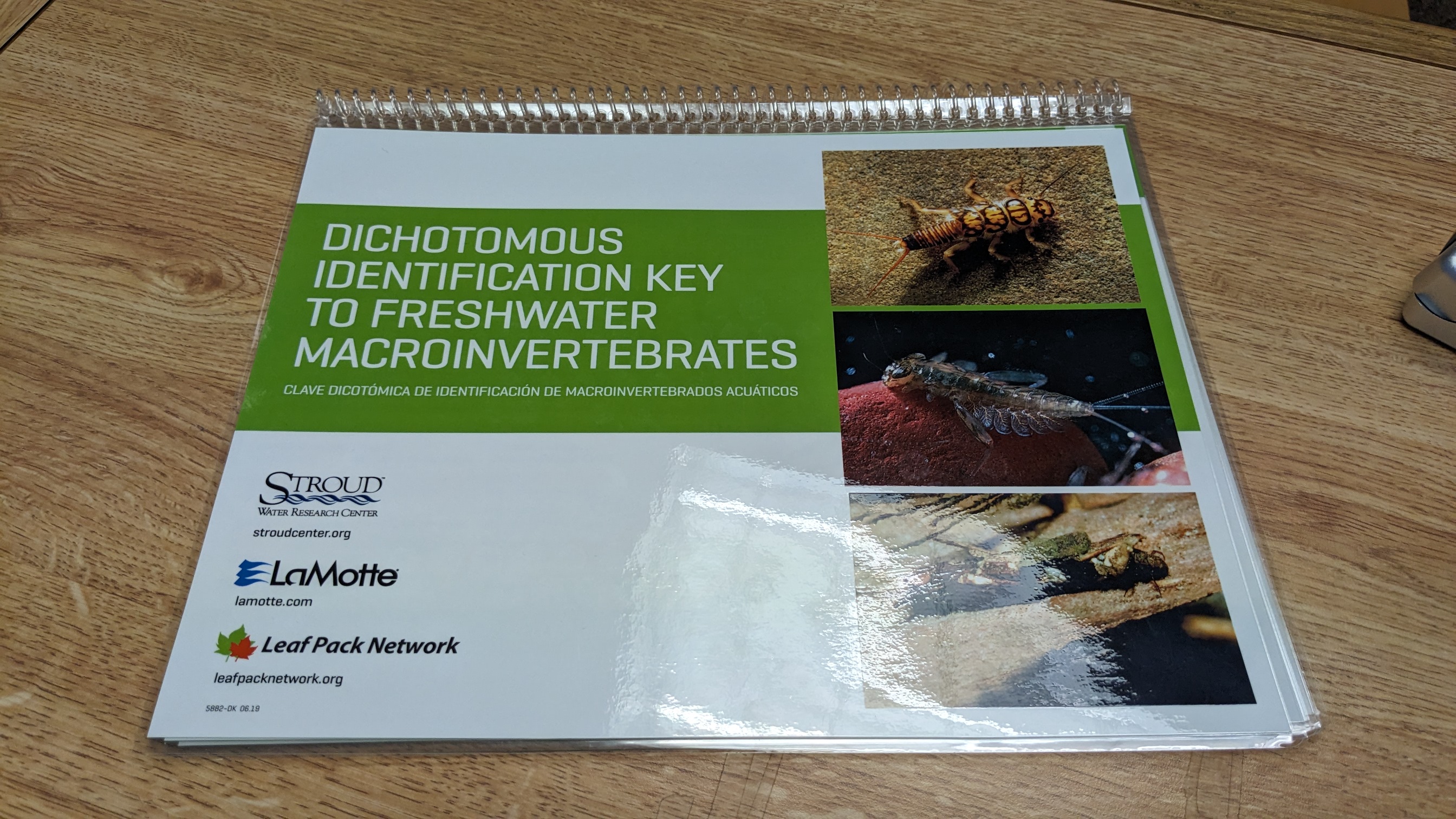 image of dichotomous identification key for freshwater macroinvertebrates