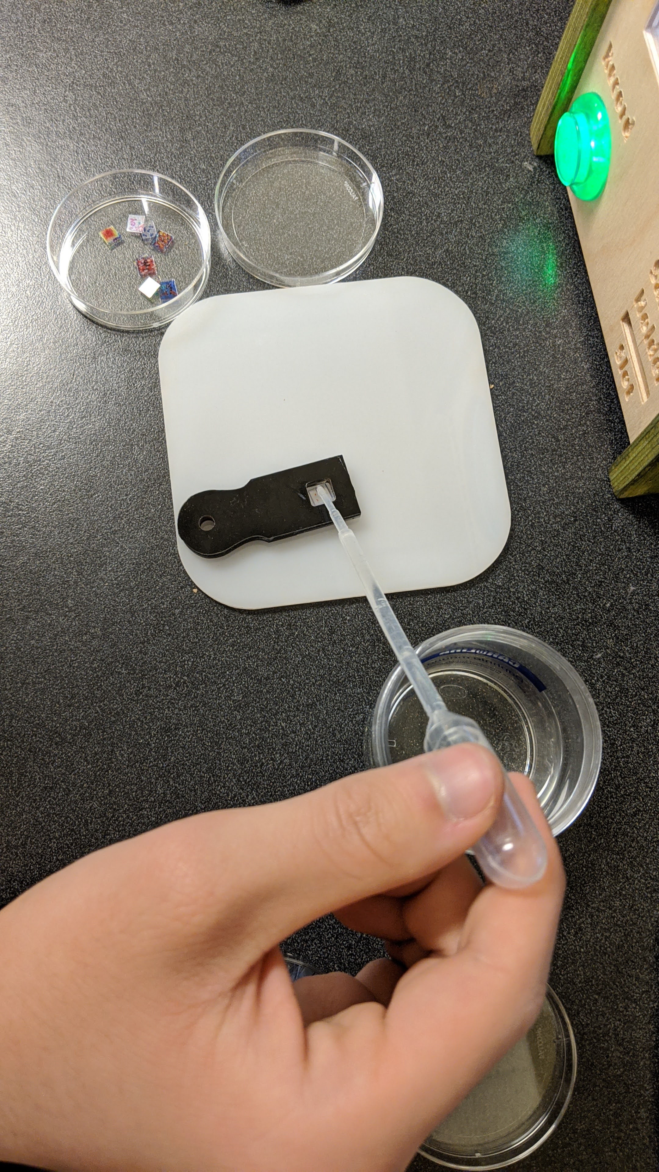 pipette water onto slide